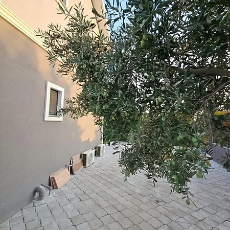 Royal Garden فيلة *