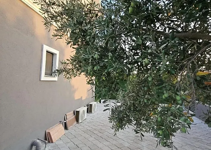 Royal Garden Villa *