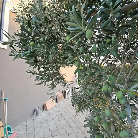 Royal Garden Villa *